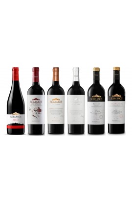 Nos vamos de vinos
